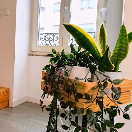 Mezzanine With Courtyard In *