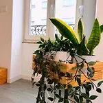 Mezzanine With Courtyard In N 29 *