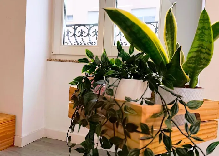 Mezzanine With Courtyard In *